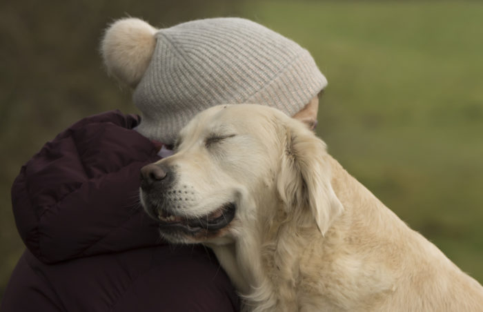 Portuguesa entre os melhores fotógrafos de cães em 2018