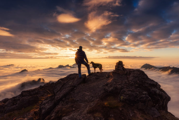 Portuguesa entre os melhores fotógrafos de cães em 2018