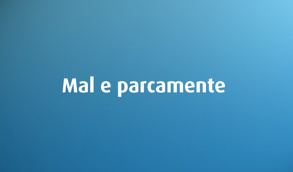 Cinco asneiras da língua portuguesa