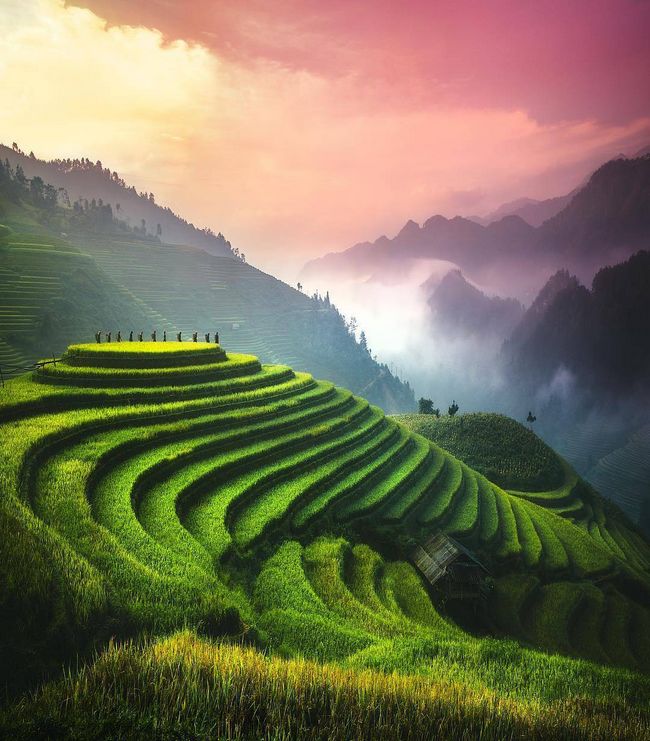Viagem a 25 locais fantásticos para visitar uma vez na vida Terraços de arroz, Vietnam