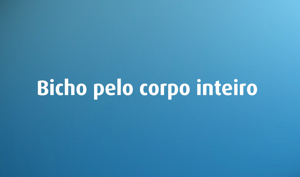 Cinco asneiras da língua portuguesa