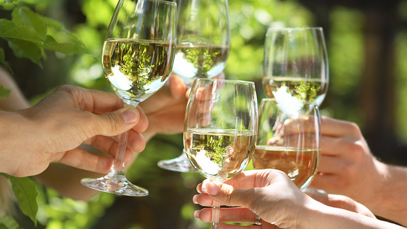 É português o melhor vinho branco do mundo e custa menos de 10€ É português o melhor vinho branco do mundo e custa menos de 10€