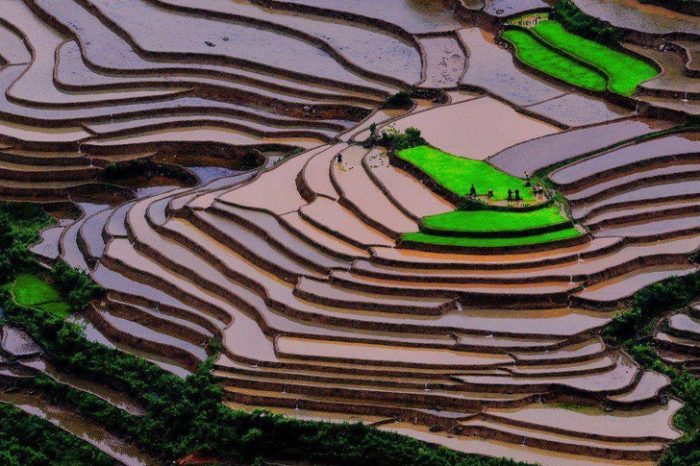 22 lugares que parecem ser de outro planeta (um é português) Mù Cang Chải, Vietname