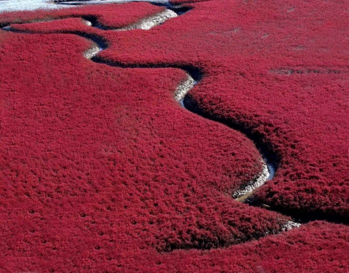 A “Praia Vermelha”, China