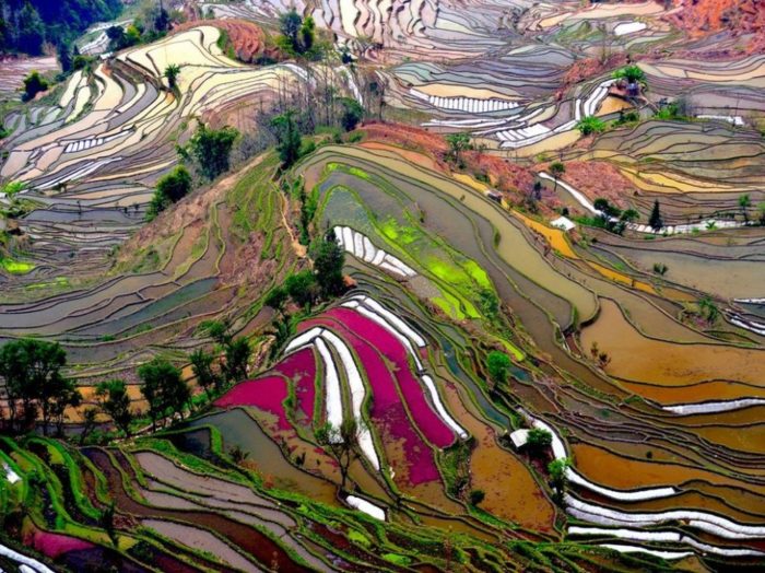 Portugal tem um dos locais onde a natureza enlouqueceu com as cores Condado de Yuanyang, China