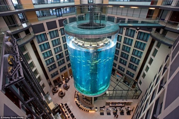 elevadores mais incríveis do mundo