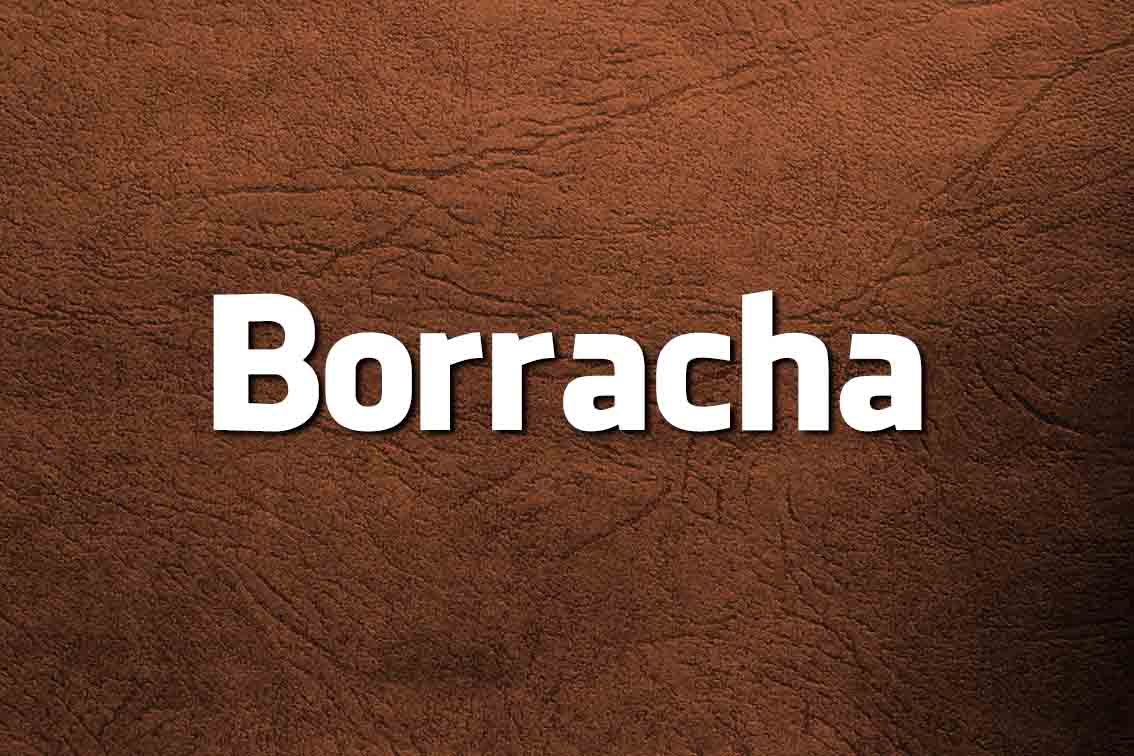 Língua Portuguesa: dez palavras espanholas que enganam os portugueses cognatos