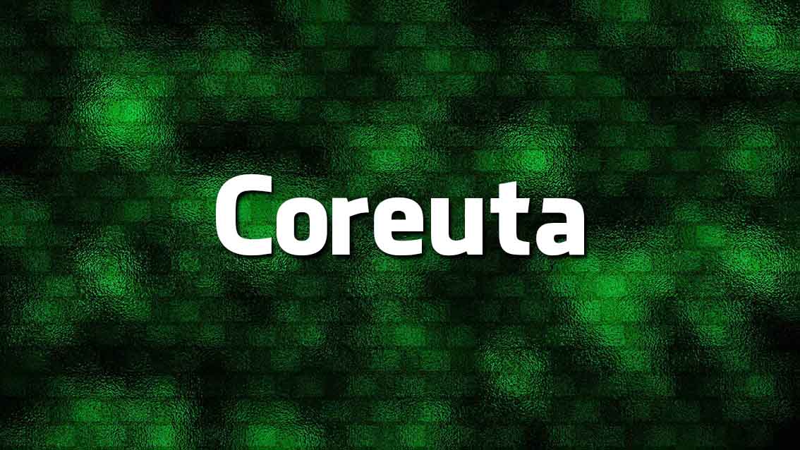 Língua Portuguesa: 10 palavras que (quase de certeza) não conhece 10 palavras que (quase de certeza) não conhece
