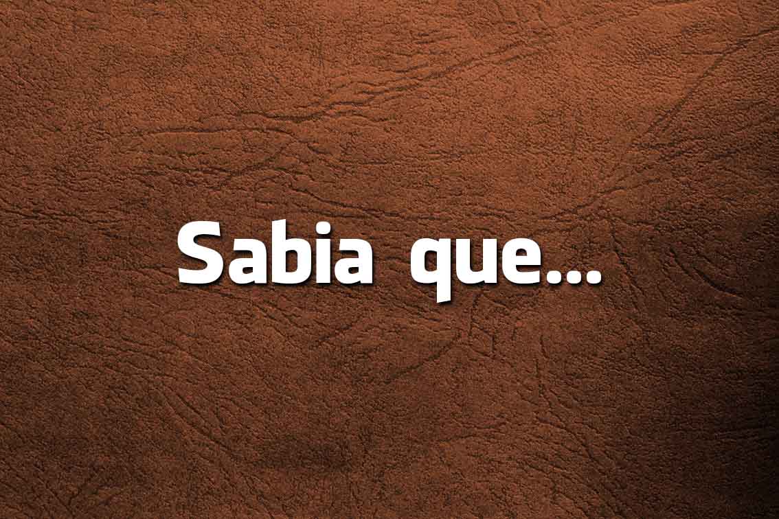 Língua Portuguesa: escreve-se Bege ou Beje? Língua Portuguesa: escreve-se Bege ou Beje?
