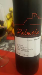 6 dos melhores Vinhos Tintos nacionais abaixo de 2€ melhores Vinhos Tintos nacionais