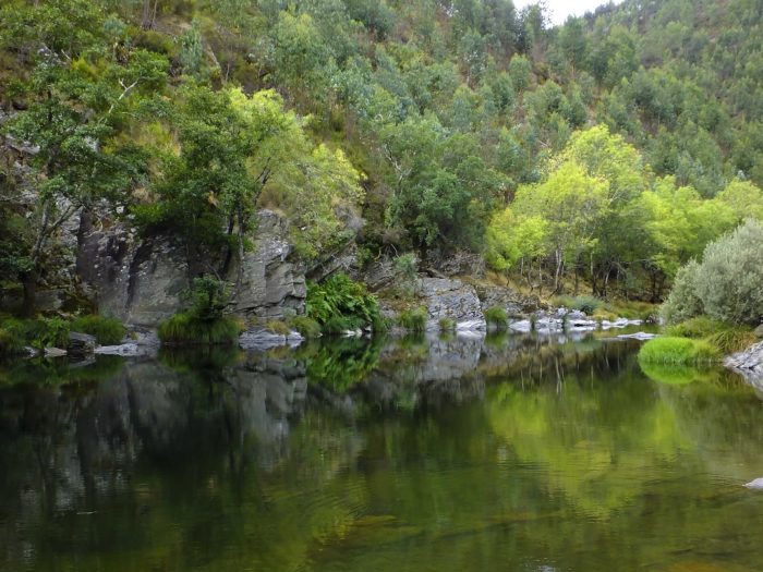 Passadiços do Paiva: o Paraíso em Arouca Passadiços do Paiva: o Paraíso em Arouca