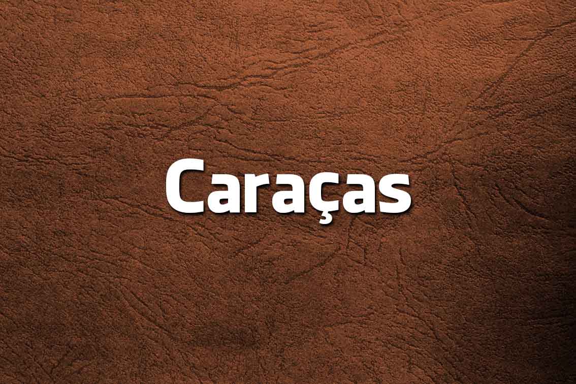 7 palavrõezinhos do português