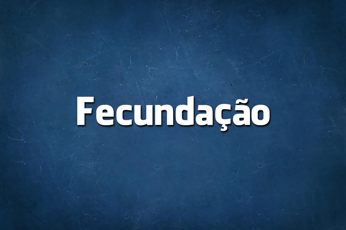 palavras mais incríveis da língua portuguesa