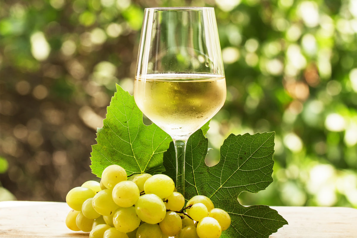 dez melhores vinhos brancos