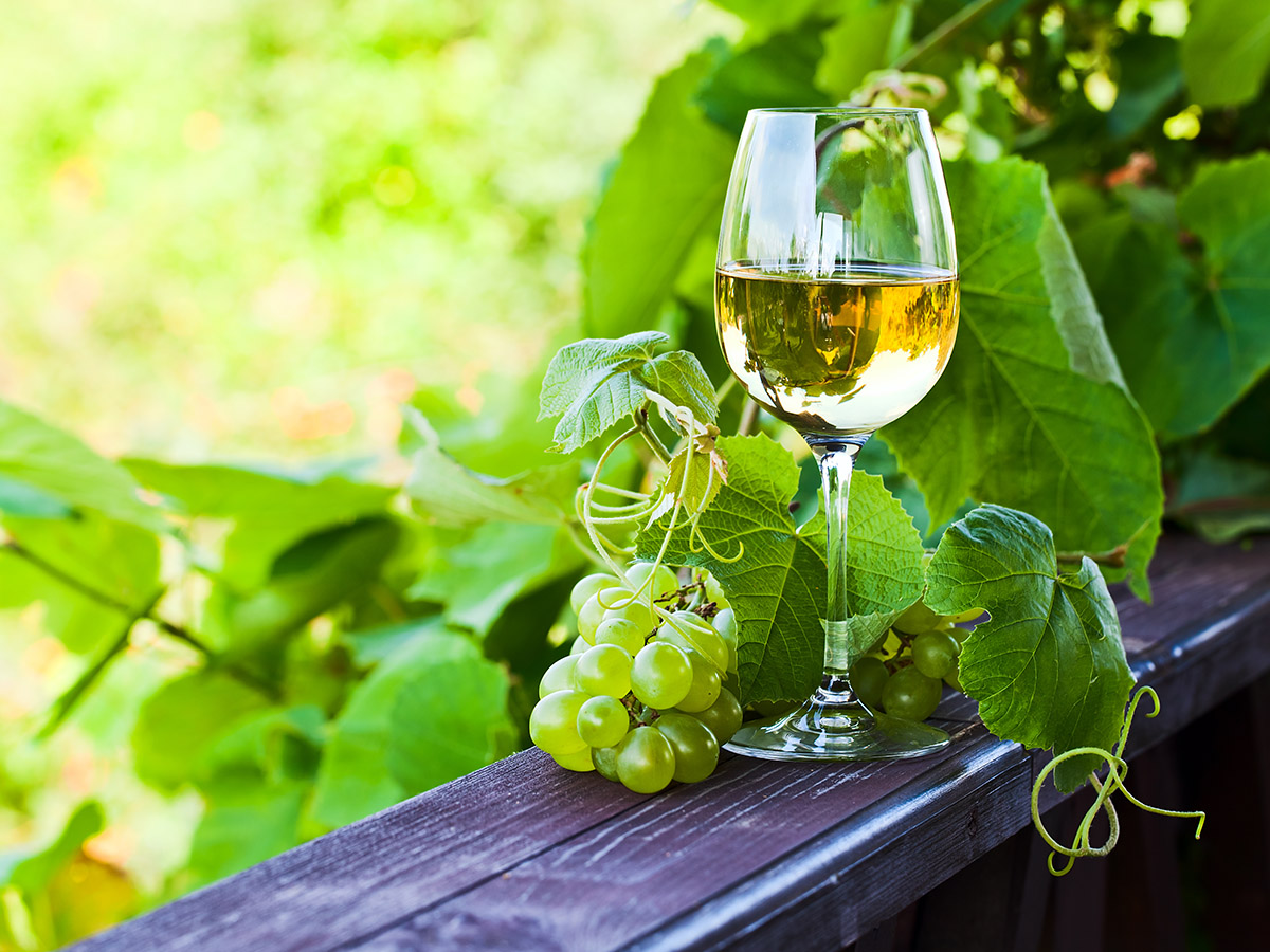 6 dos melhores vinhos brancos