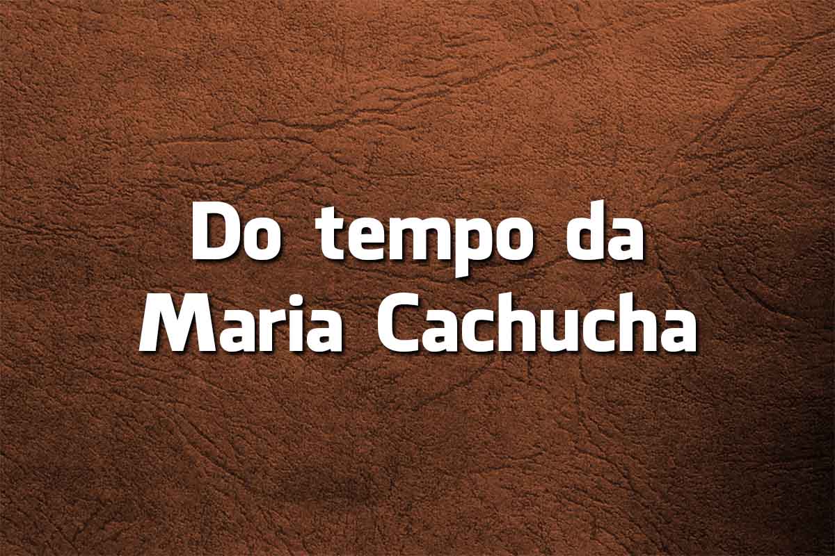 Língua Portuguesa: a origem e significado de 6 Expressões Populares significado de 6 Expressões