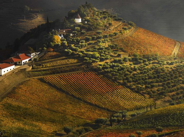 Vinhos Portugueses: Marcelo oferece vinho do Porto com mais de cem anos