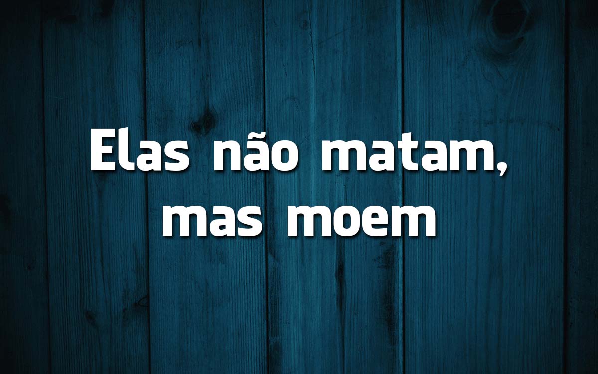 13 frases feitas