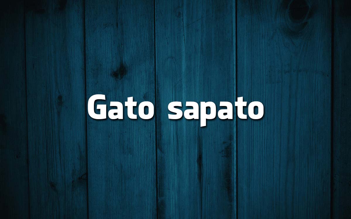 13 frases feitas