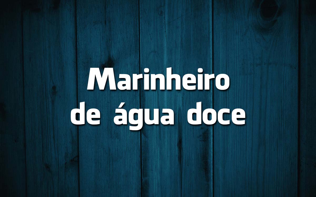 13 frases feitas