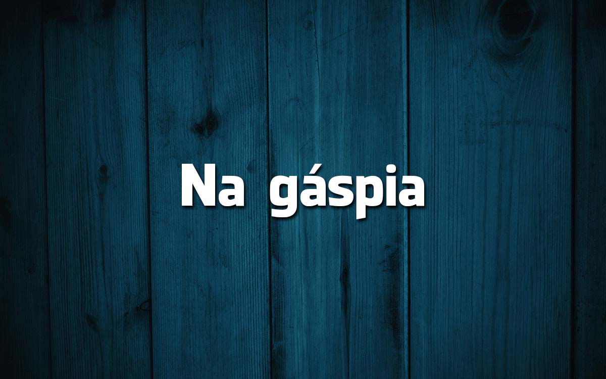13 frases feitas