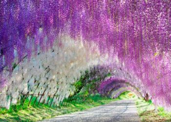 locais onde a natureza enlouqueceu com as cores