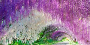 locais onde a natureza enlouqueceu com as cores