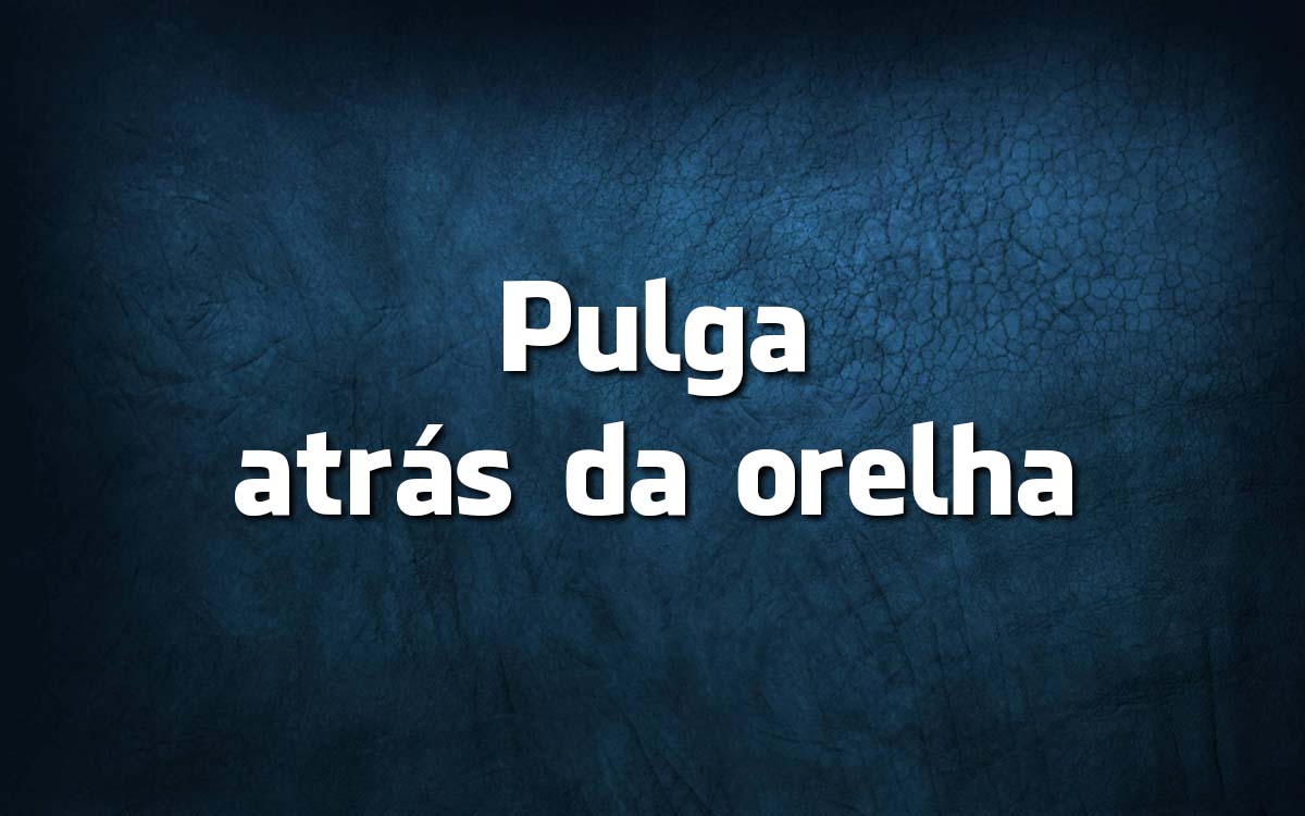 Língua Portuguesa: 10 animais que se escondem na nossa língua