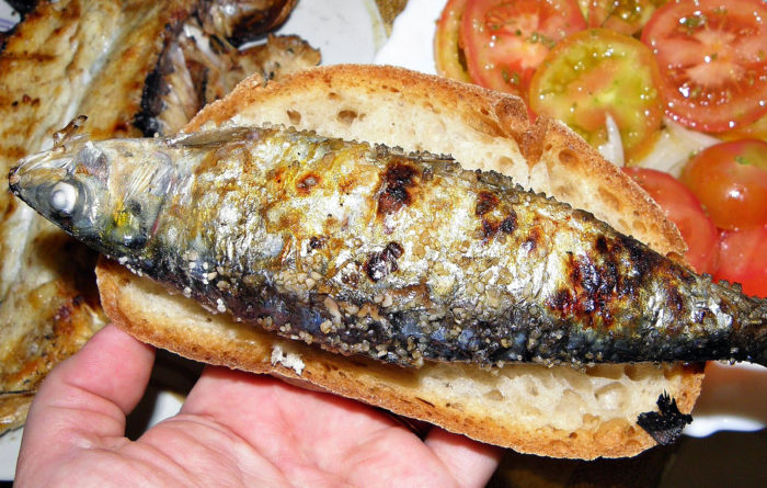 Saiba por que deve comer mais sardinhas
