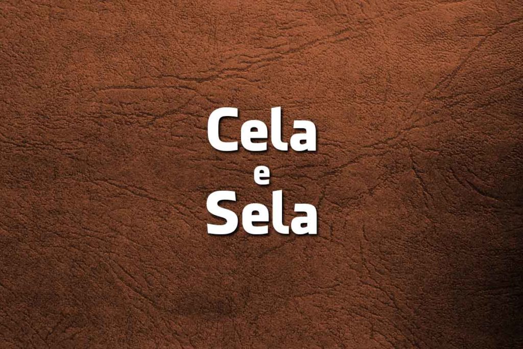 8 palavras parecidas da Língua Portuguesa mas com significados distintos