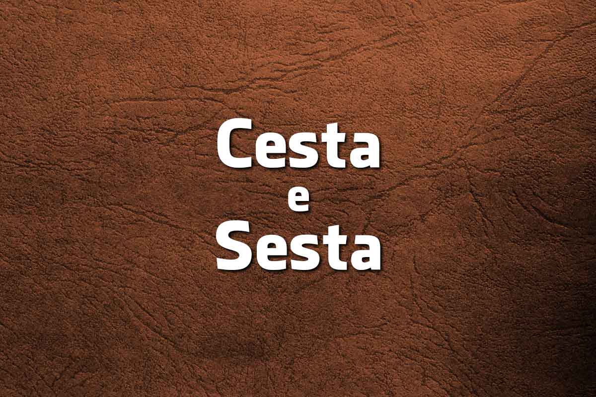 9 palavras parecidas da Língua Portuguesa mas com significados distintos