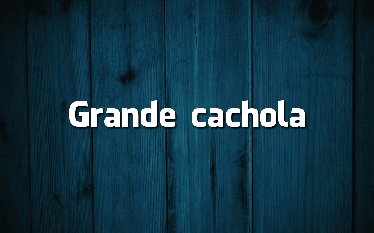 15 frases feitas da Língua Portuguesa