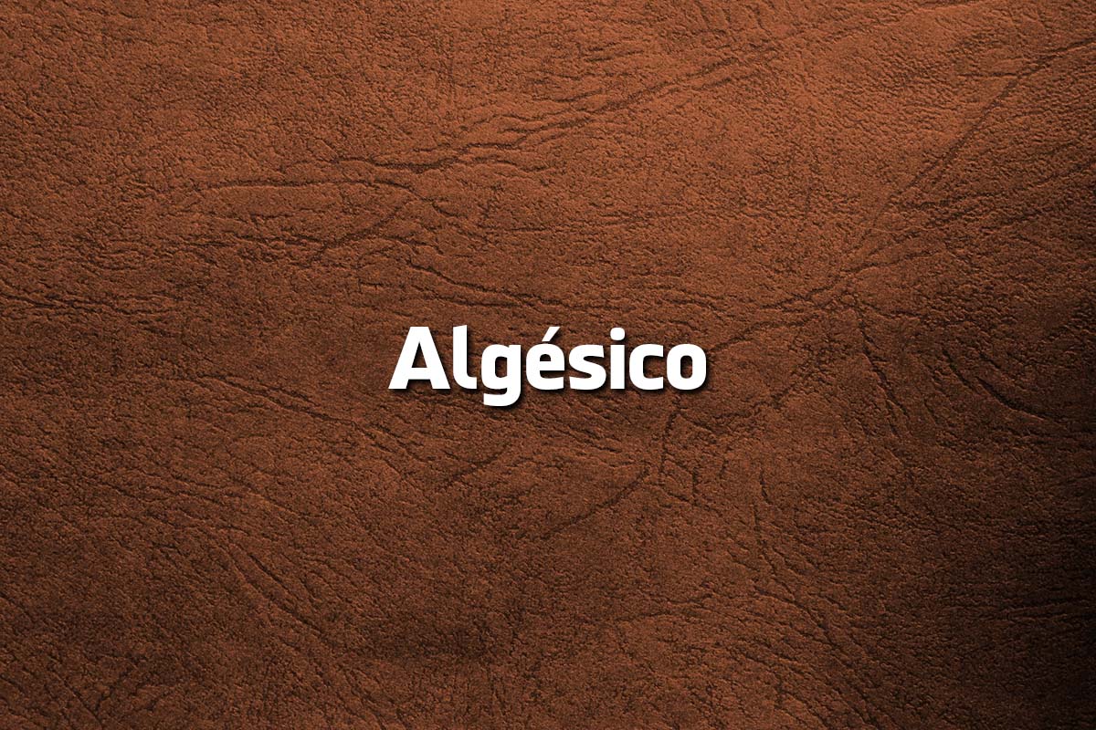 8 Palavras pouco usadas