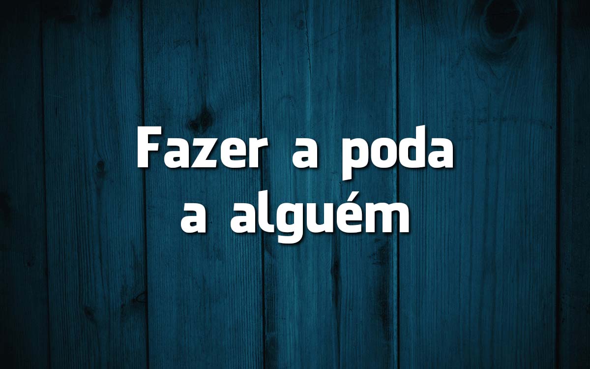 16 frases feitas