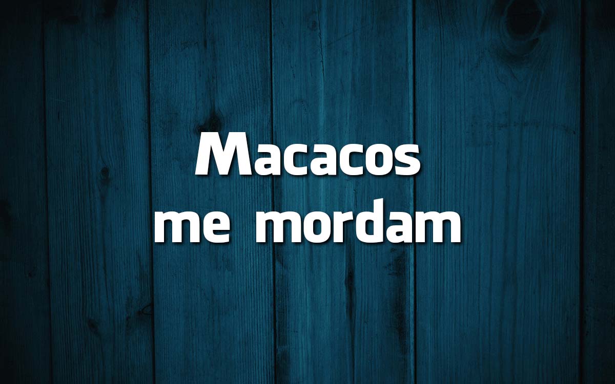 16 frases feitas