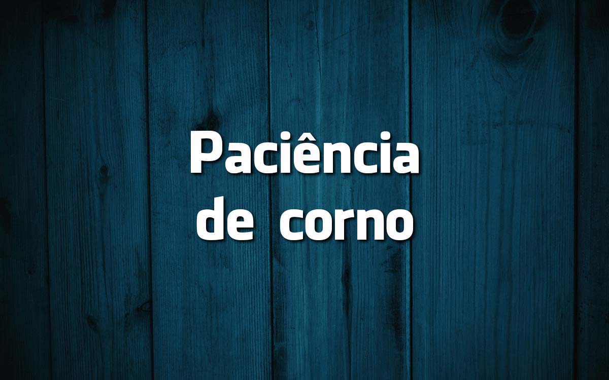 16 frases feitas