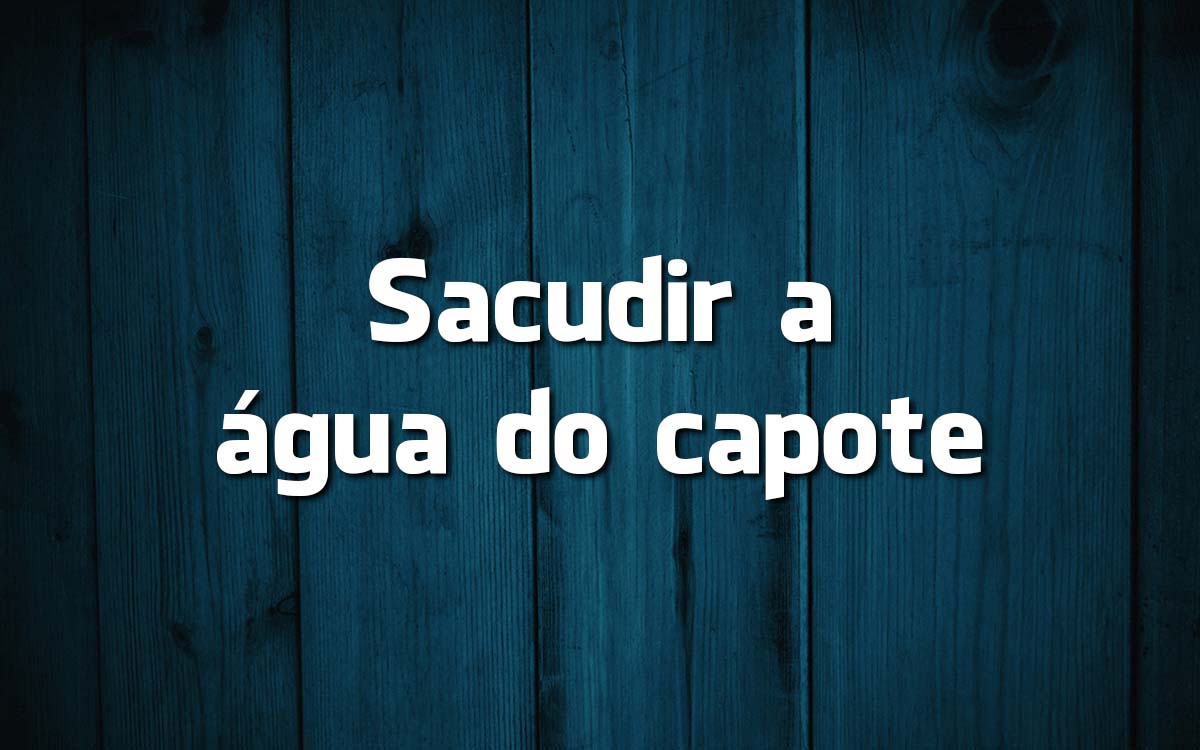 16 frases feitas