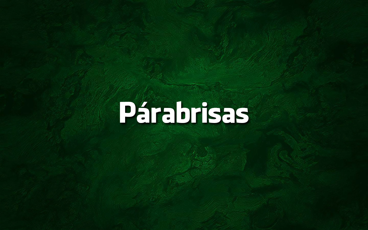 Párabrisas é erro de português?