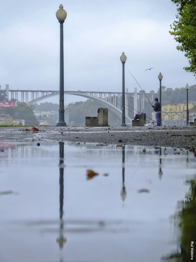 7 curiosidades sobre as seis pontes do Porto