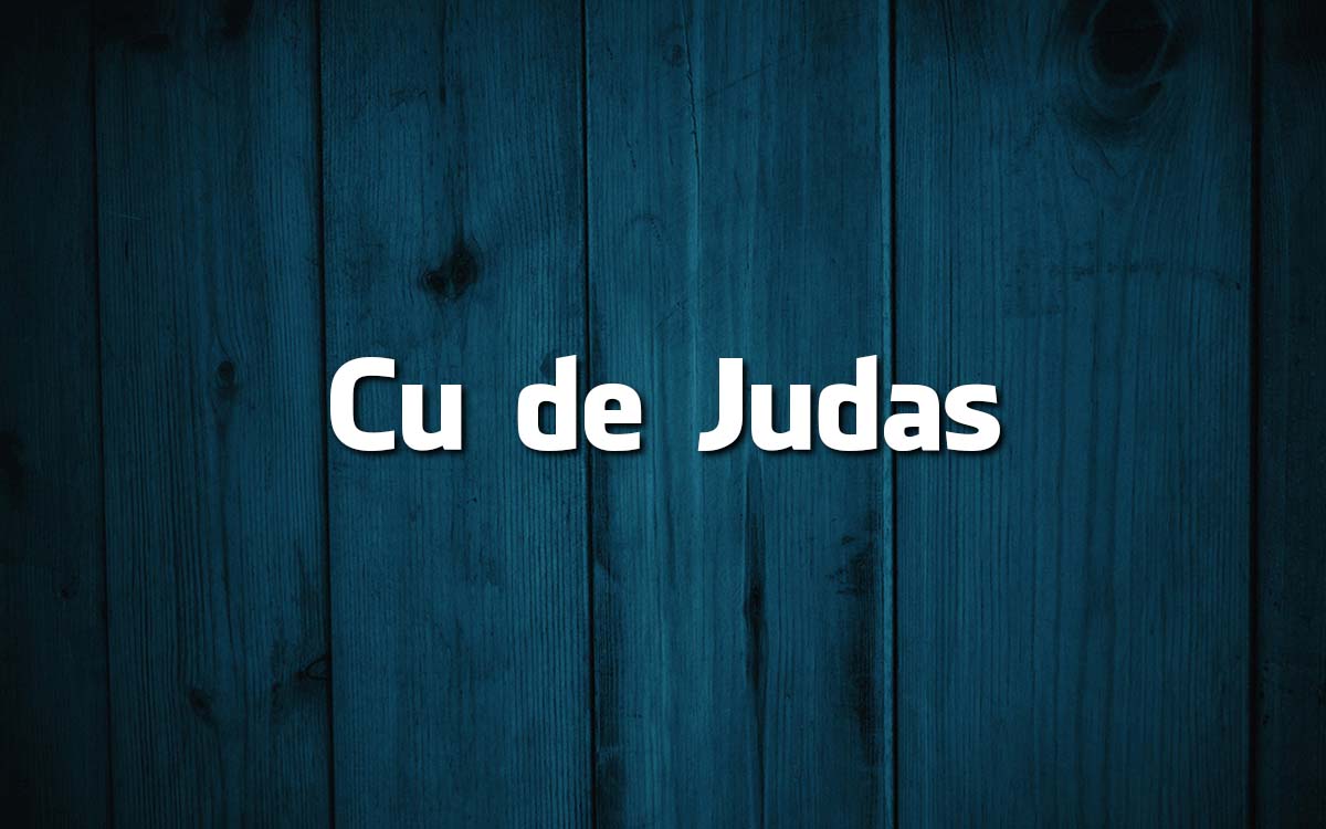 15 frases feitas da Língua