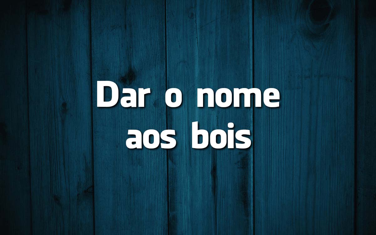 15 frases feitas da Língua