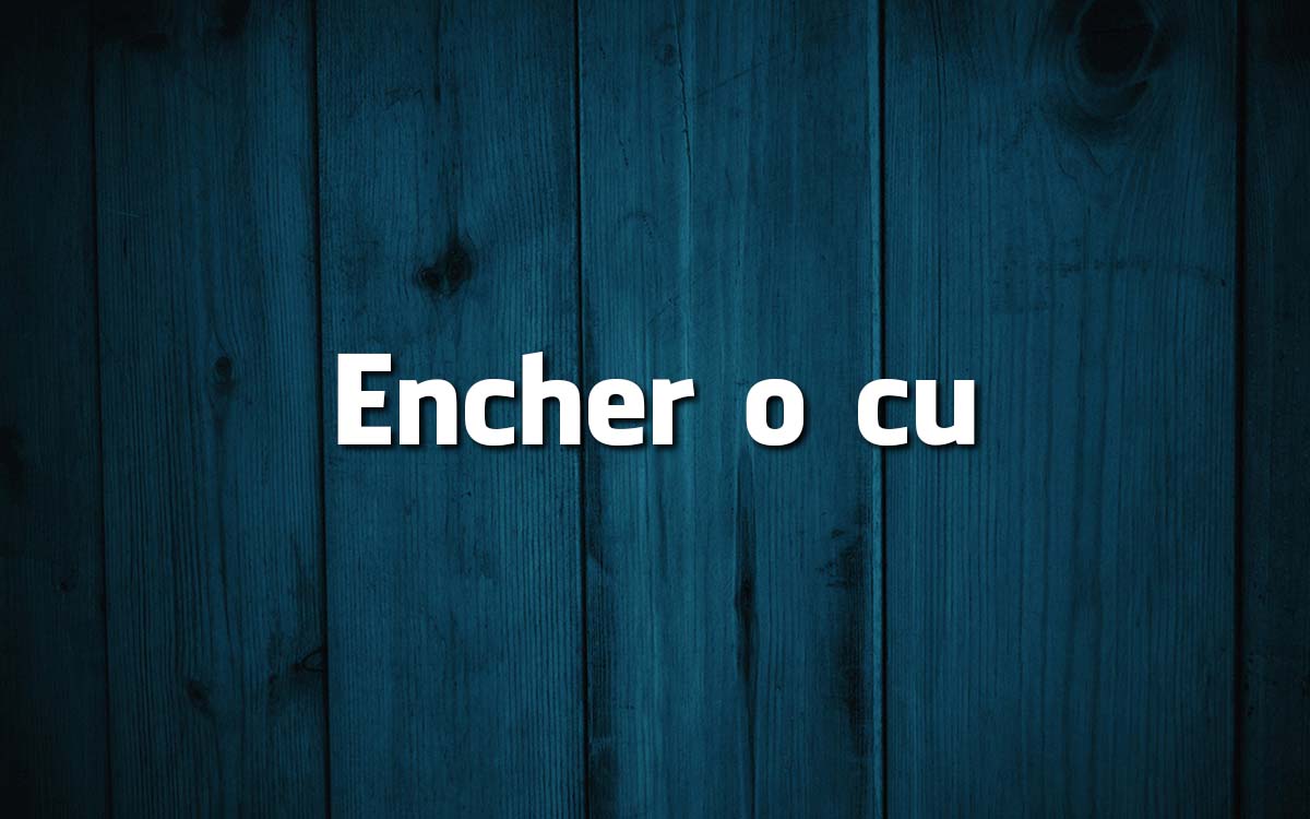 13 frases feitas da Língua