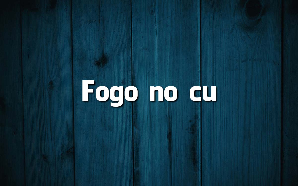 16 frases feitas