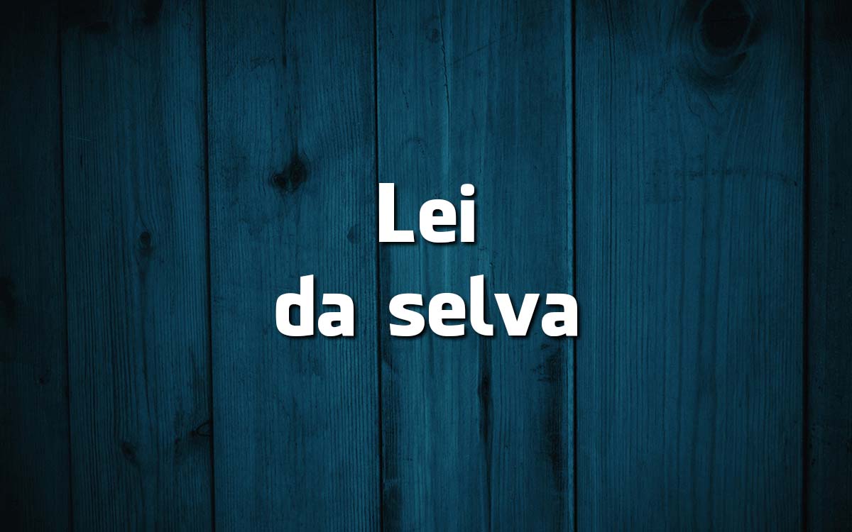 16 frases feitas