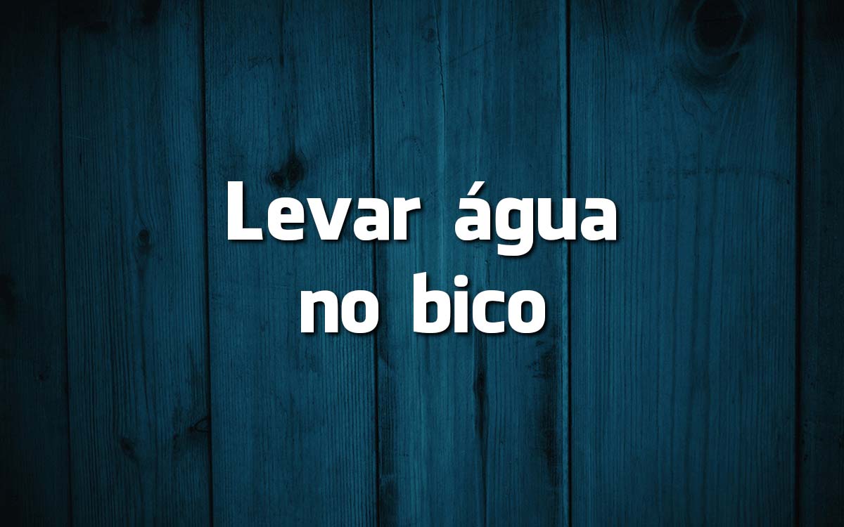 13 frases feitas da Língua