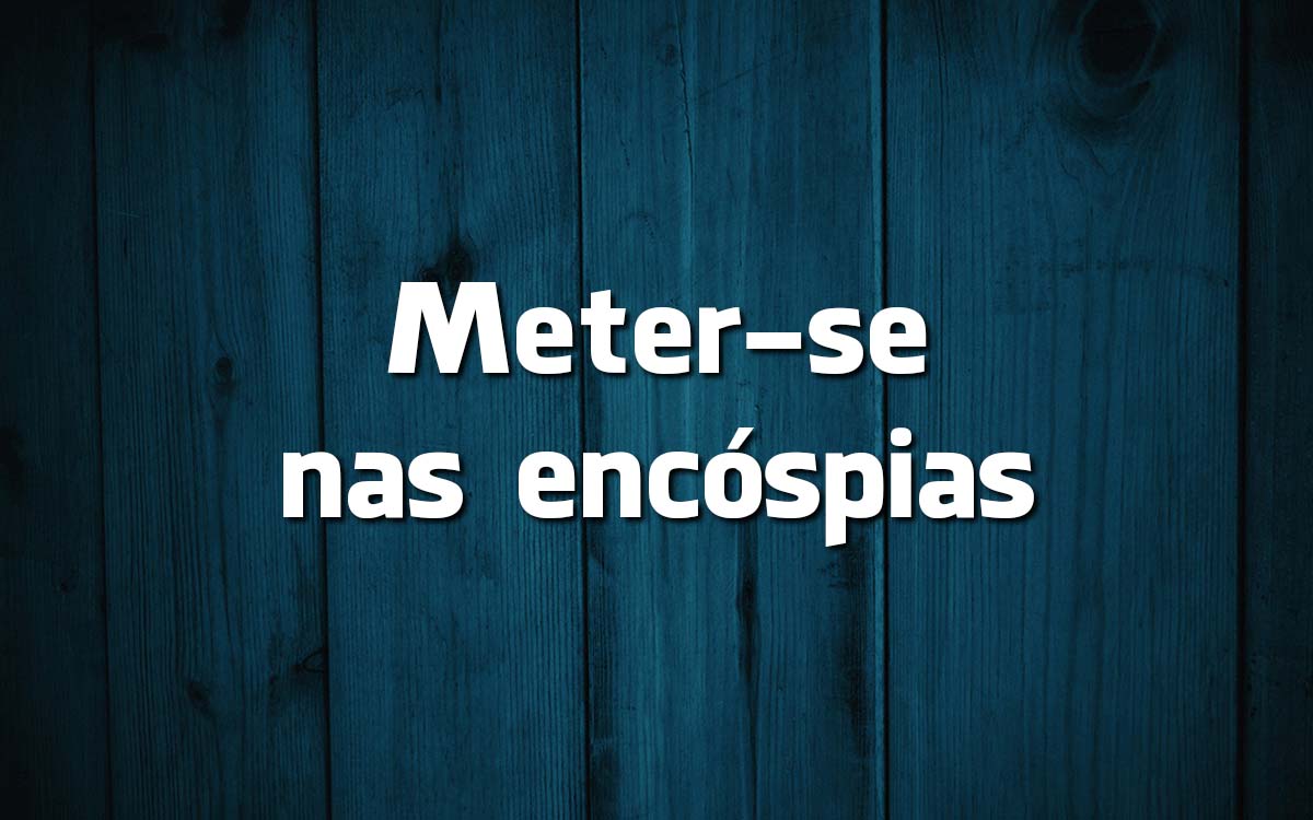 16 frases feitas