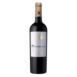 Os melhores vinhos tintos para acompanhar bons petiscos Os melhores vinhos tintos para acompanhar bons petiscos