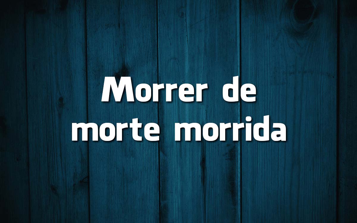 15 frases feitas da Língua