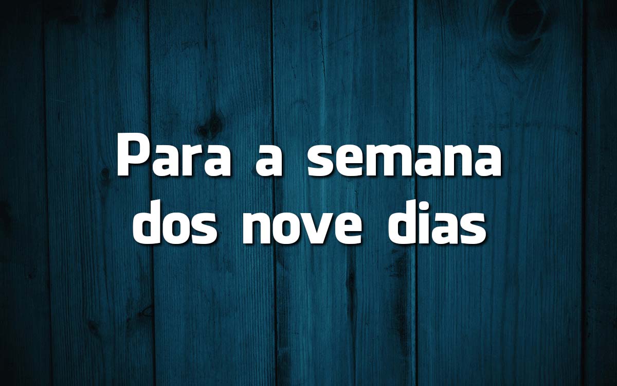 16 frases feitas