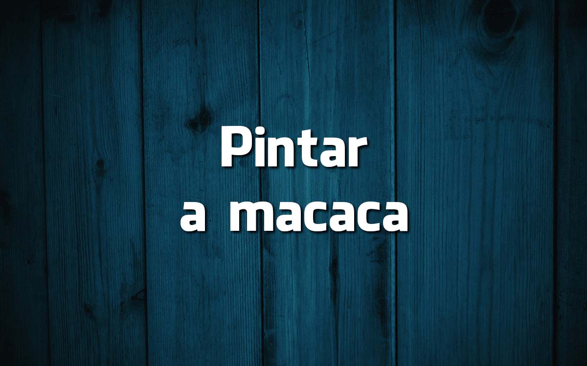16 frases feitas